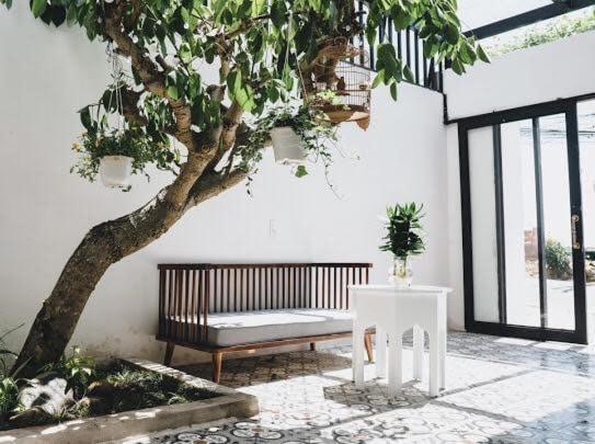 מלון דה לאט Carina House מראה חיצוני תמונה